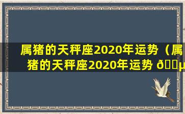 属猪的天秤座2020年运势（属猪的天秤座2020年运势 🐵 及运程）